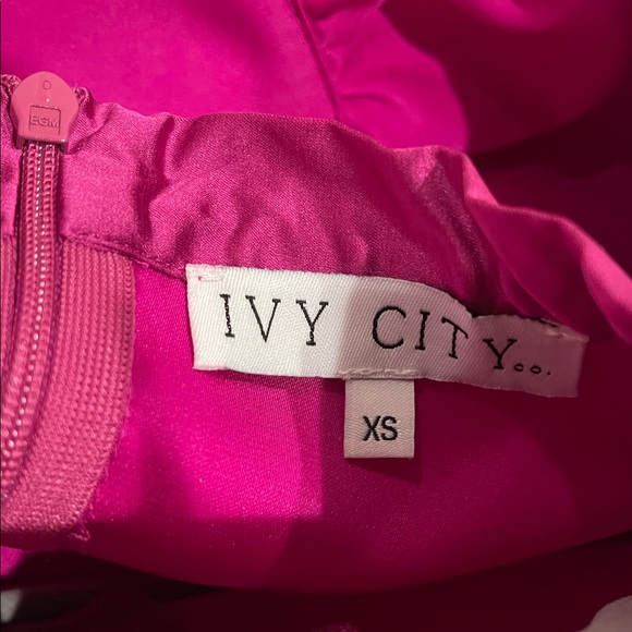 Ivy City& Co Pippa Dress Size XS - Picture 9 of 16
